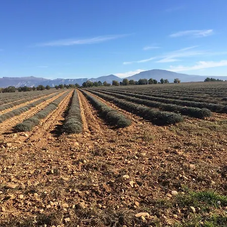 Verdon Views Pool & Terrace Vakantiehuis
