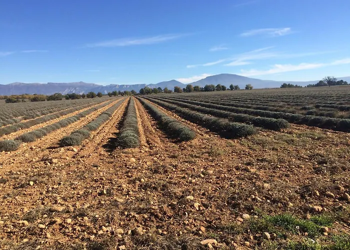Verdon Views Pool & Terrace Feriehus